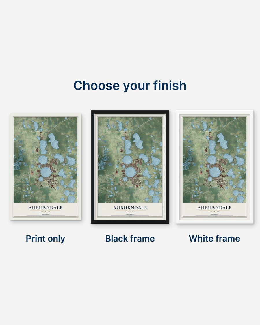 The Auburndale, Florida map as a print only, in a black frame and in a white frame