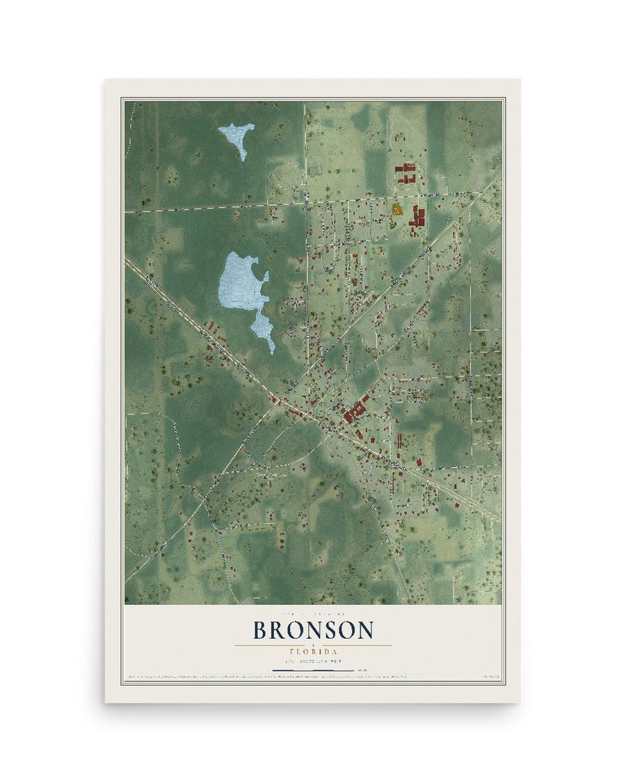 Bronson, Florida map print, 12 x 18 in, print only