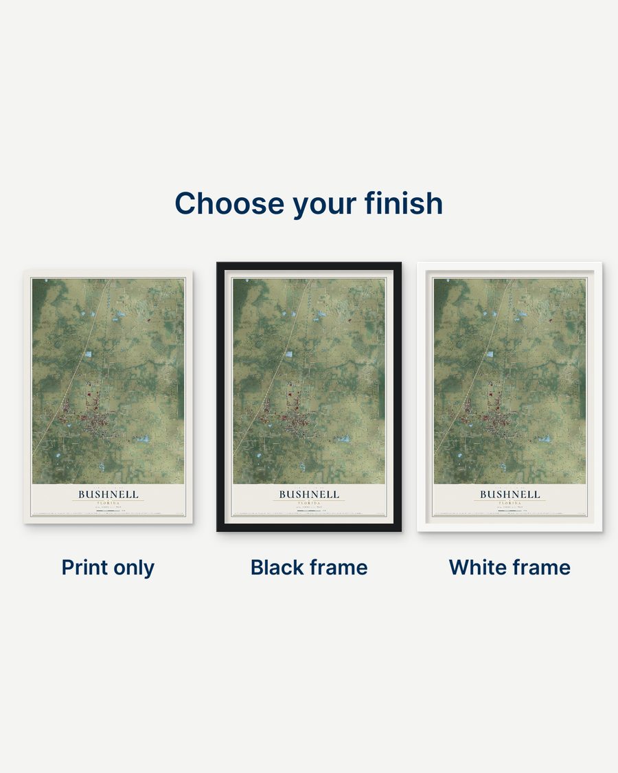 The Bushnell, Florida map as a print only, in a black frame and in a white frame