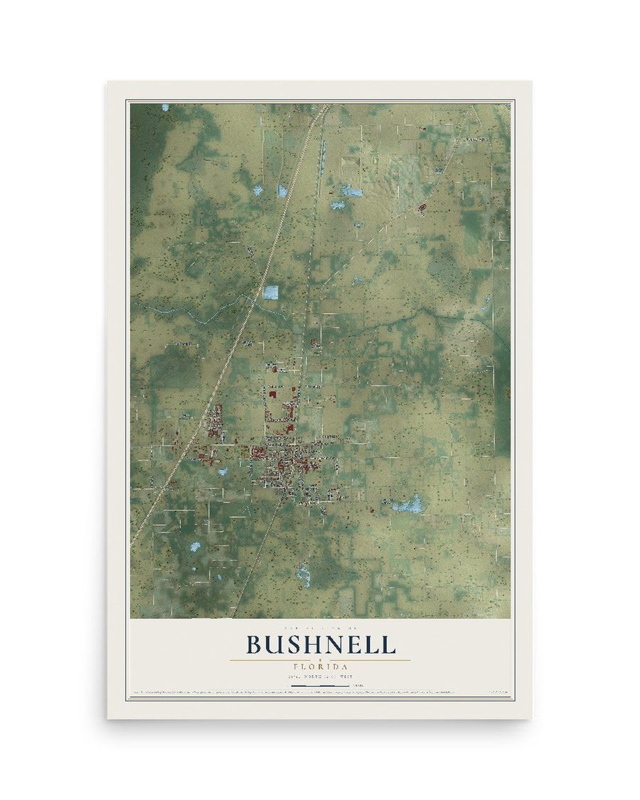 Bushnell, Florida map print, 12 x 18 in, print only