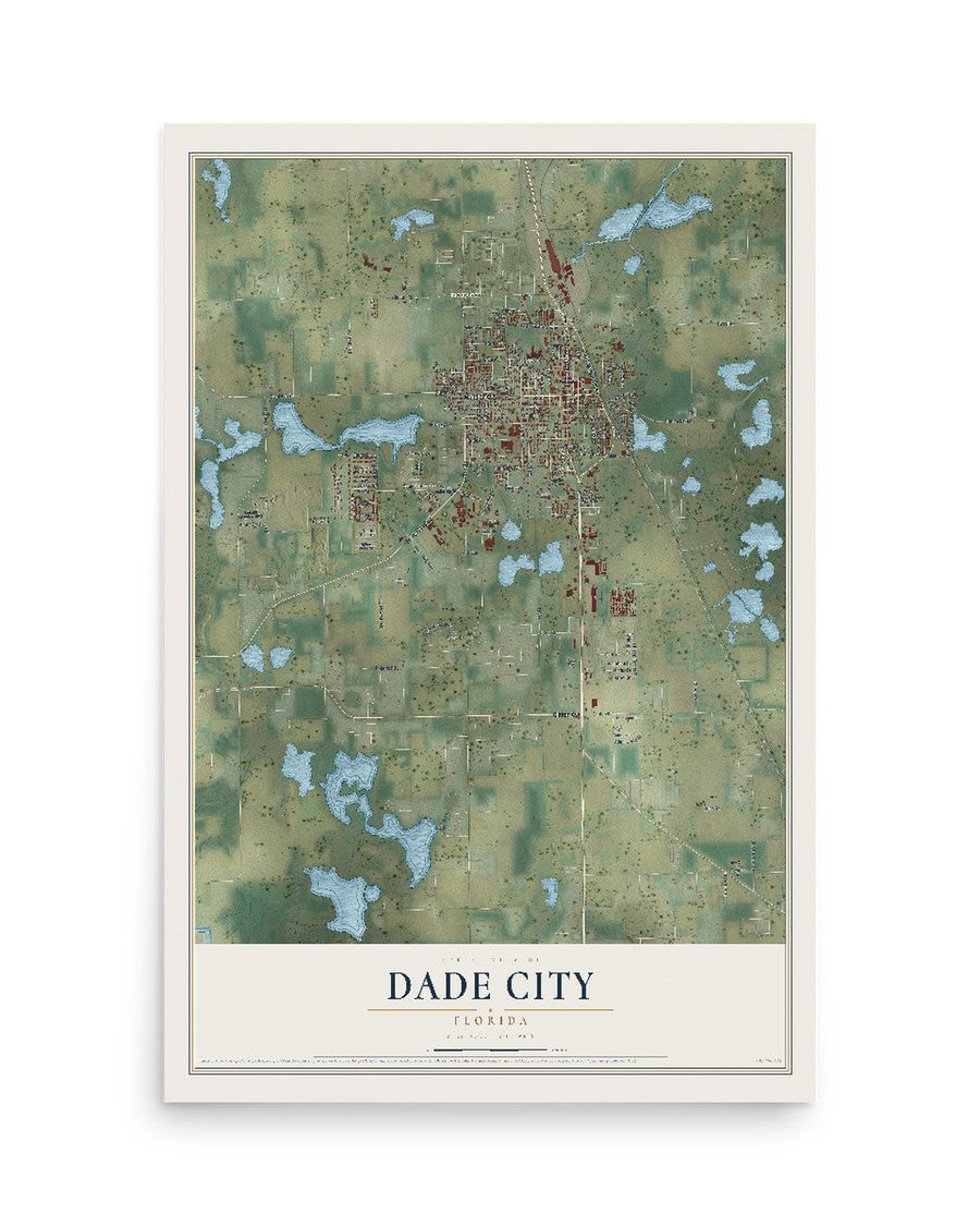 Dade City, Florida map print, 12 x 18 in, print only