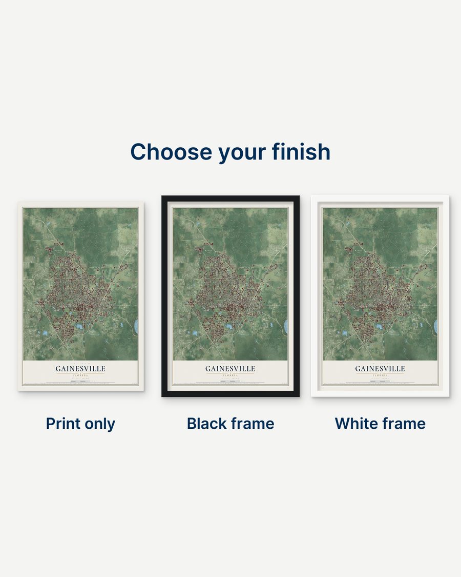 The Gainesville, Florida map as a print only, in a black frame and in a white frame
