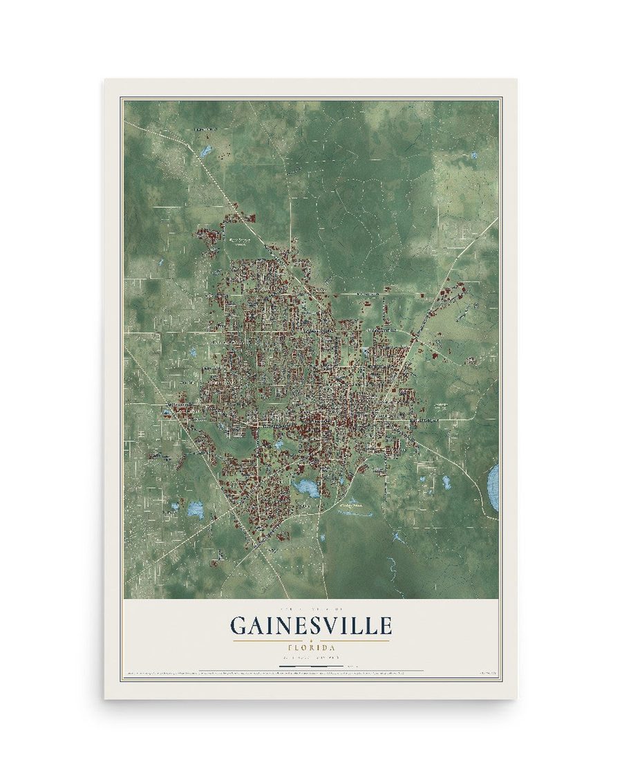 Gainesville, Florida map print, 12 x 18 in, print only