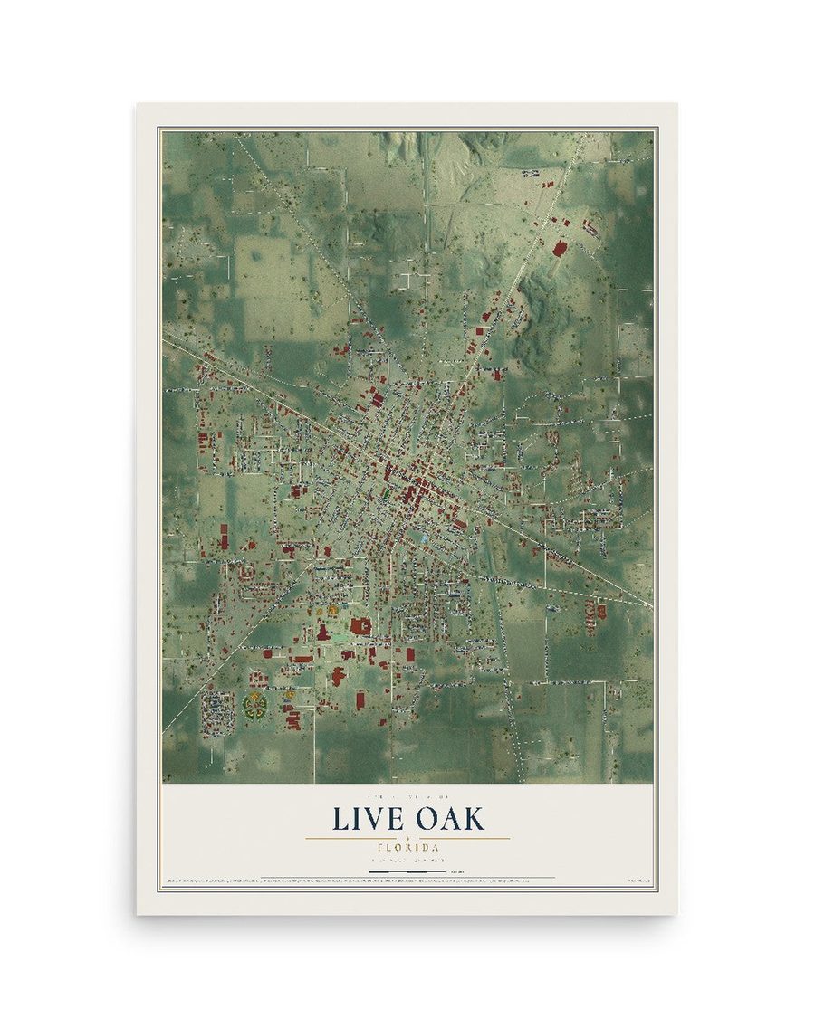 Live Oak, Florida map print, 12 x 18 in, print only