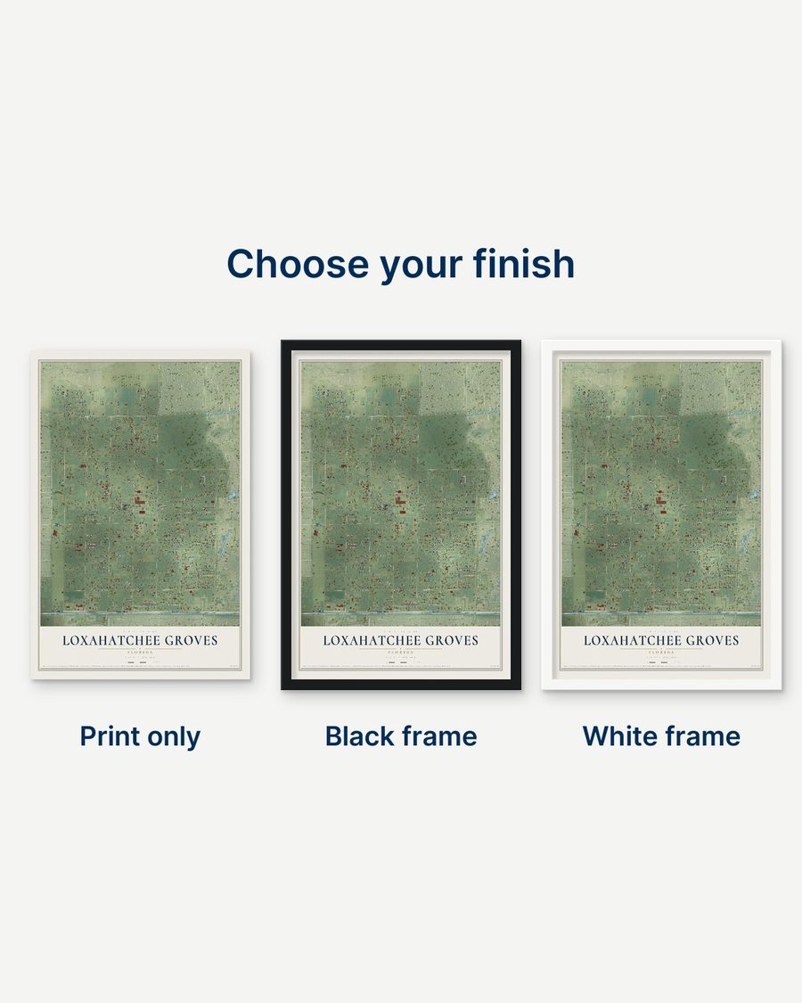 The Loxahatchee Groves, Florida map as a print only, in a black frame and in a white frame