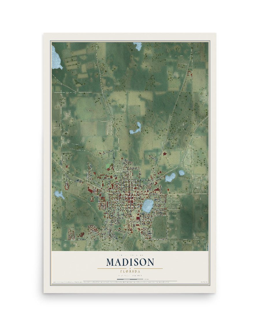 Madison, Florida map print, 12 x 18 in, print only
