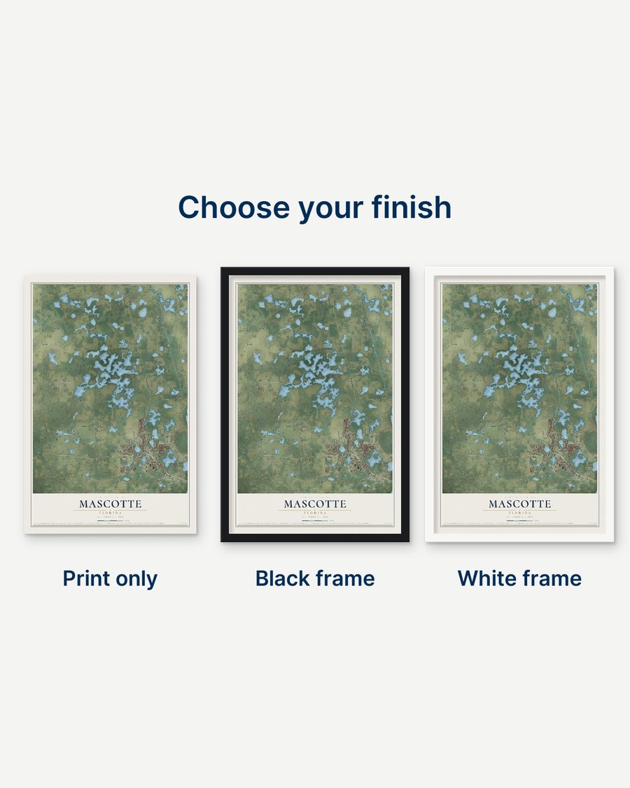 The Mascotte, Florida map as a print only, in a black frame and in a white frame