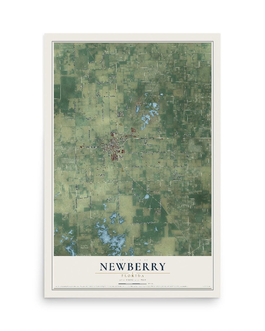 Newberry, Florida map print, 12 x 18 in, print only