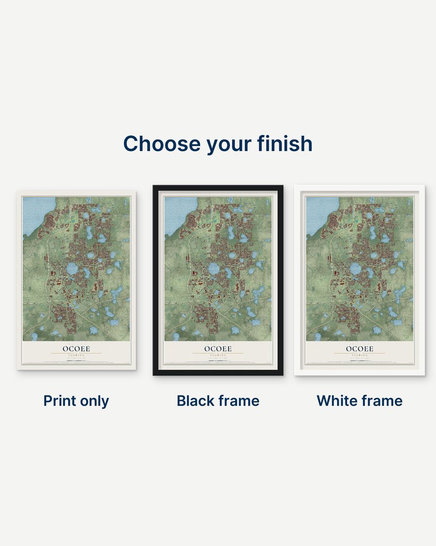 The Ocoee, Florida map as a print only, in a black frame and in a white frame