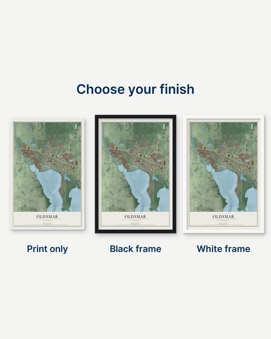 The Oldsmar, Florida map as a print only, in a black frame and in a white frame