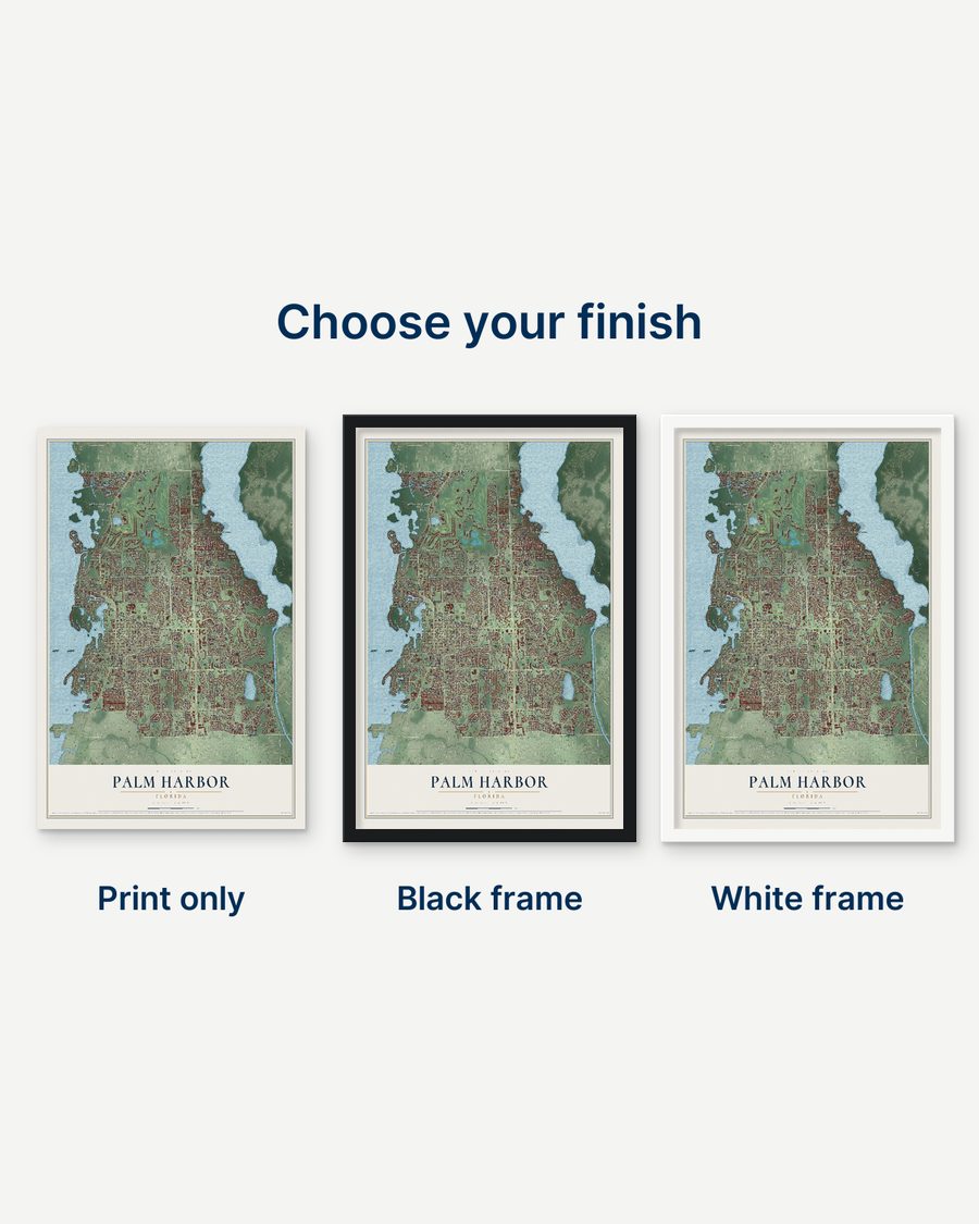 The Palm Harbor, Florida map as a print only, in a black frame and in a white frame