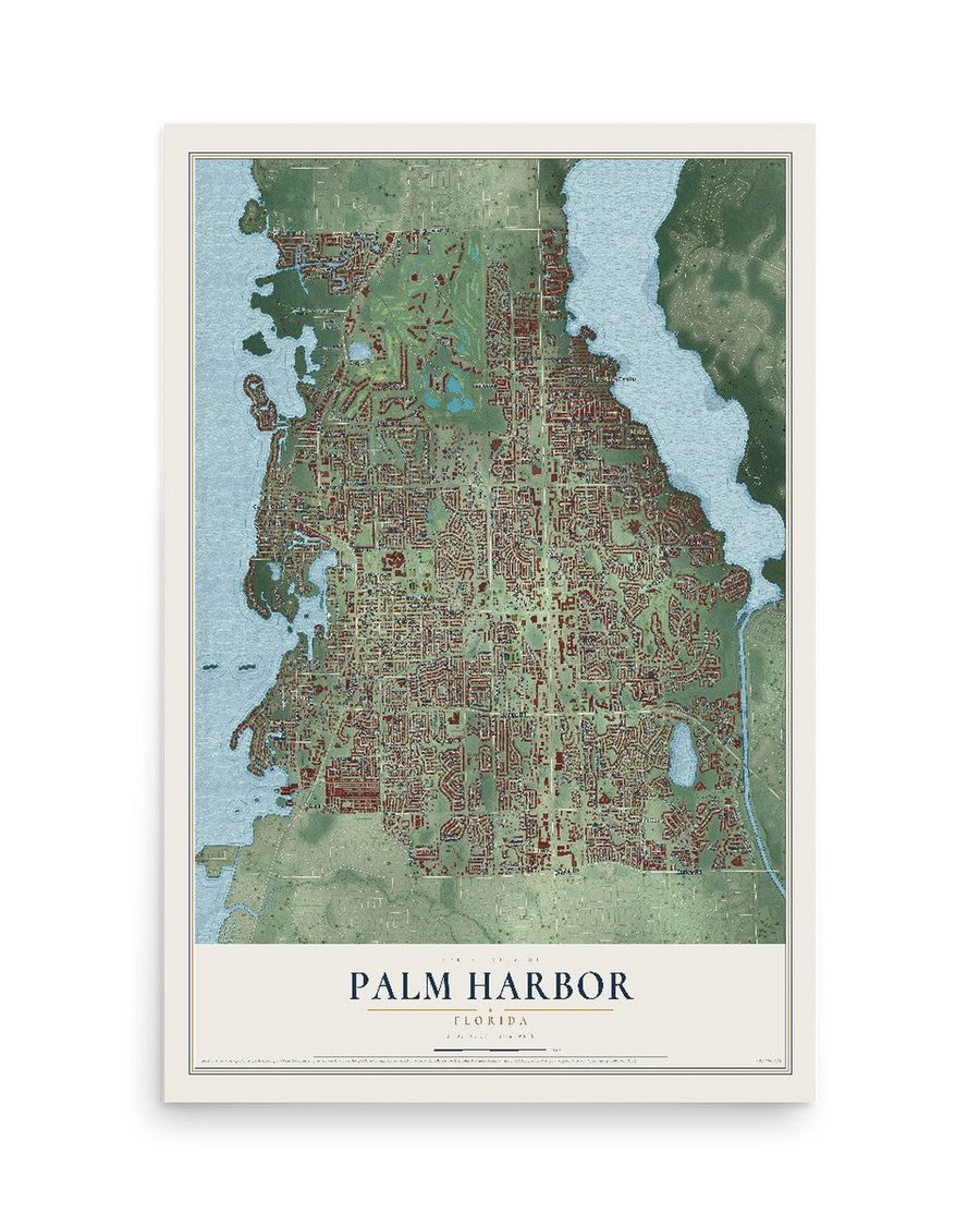 Palm Harbor, Florida map print, 12 x 18 in, print only