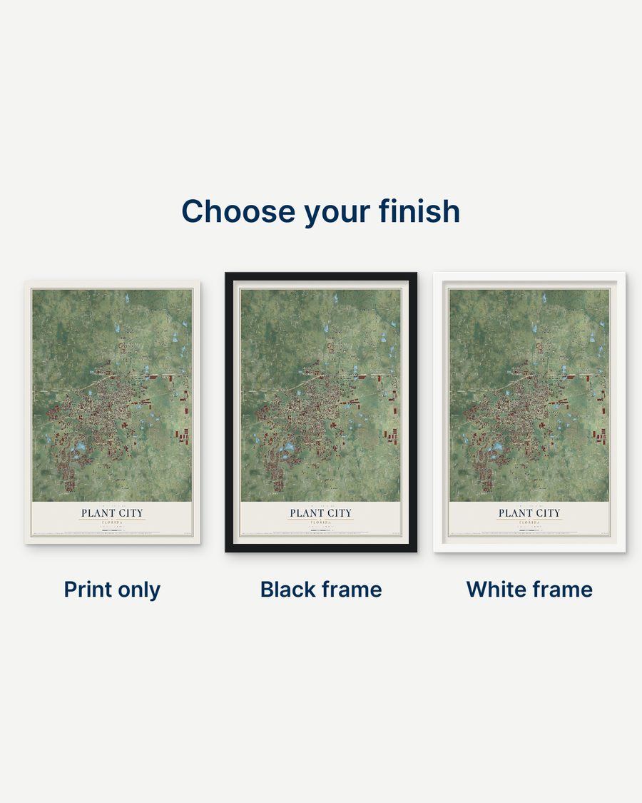 The Plant City, Florida map as a print only, in a black frame and in a white frame