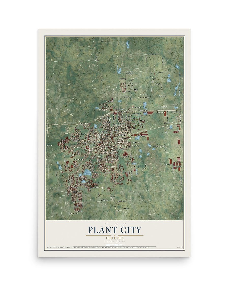 Plant City, Florida map print, 12 x 18 in, print only