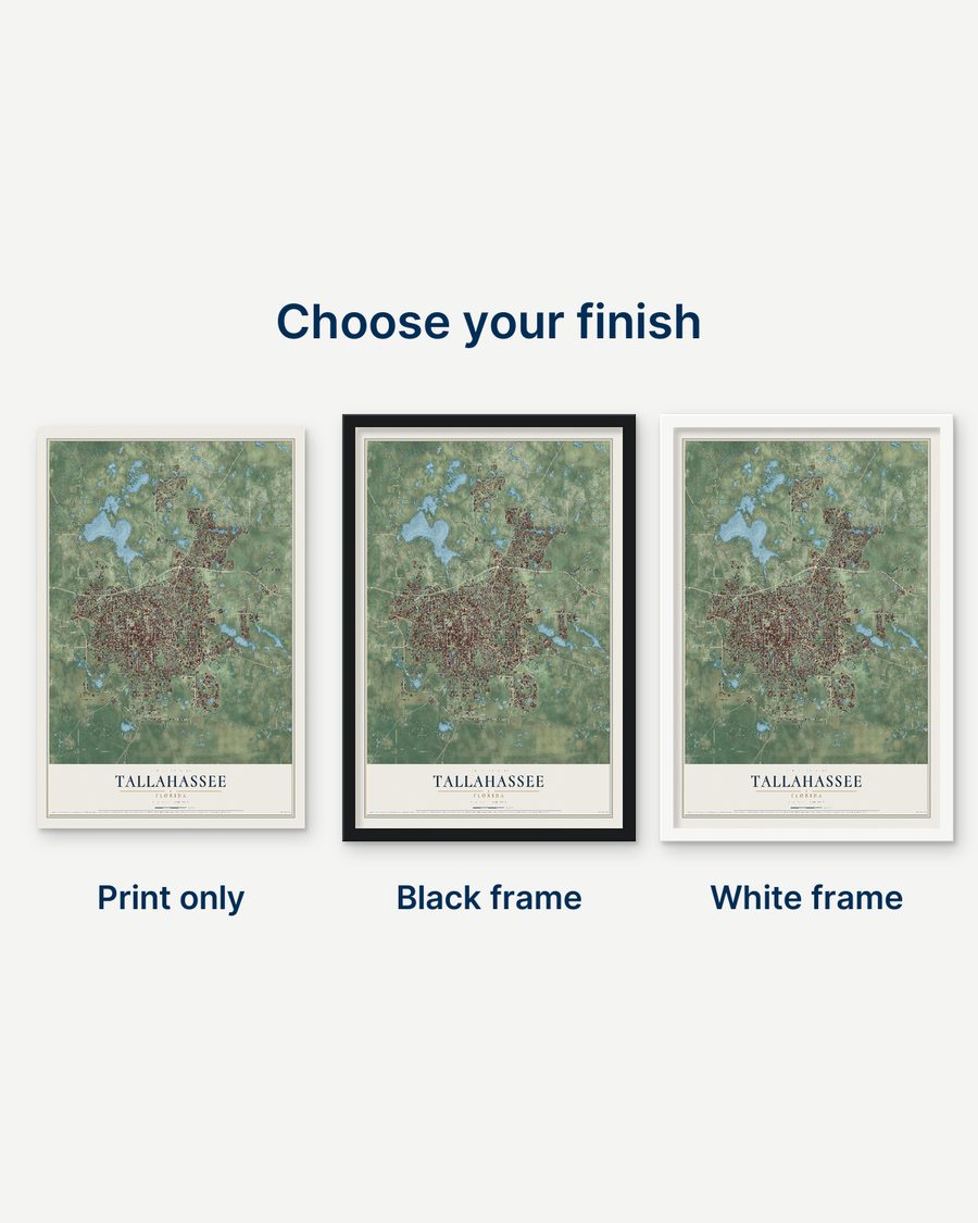 The Tallahassee, Florida map as a print only, in a black frame and in a white frame