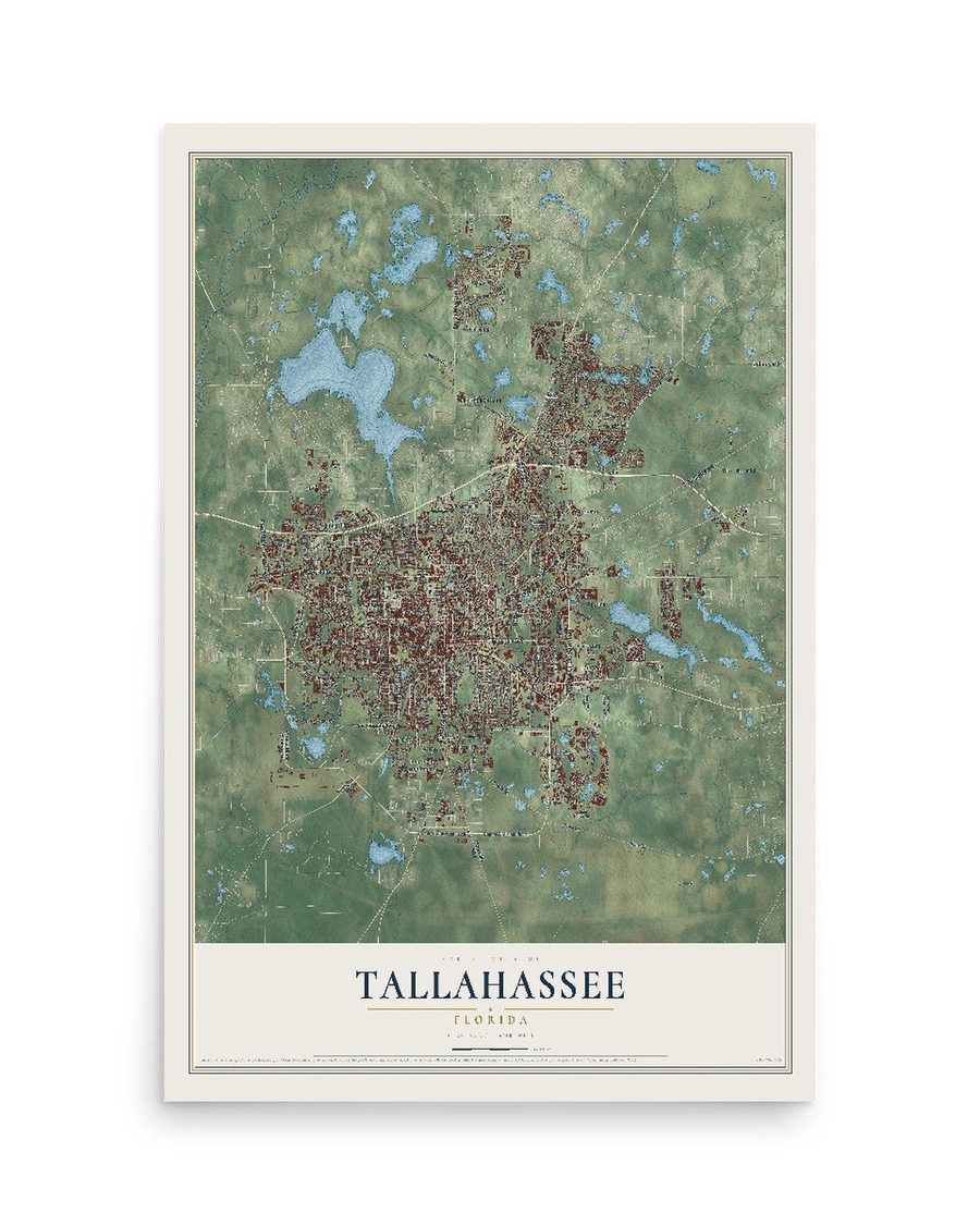Tallahassee, Florida map print, 12 x 18 in, print only