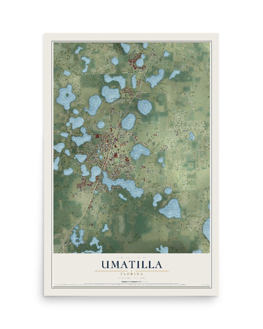 Umatilla, Florida map print, 12 x 18 in, print only