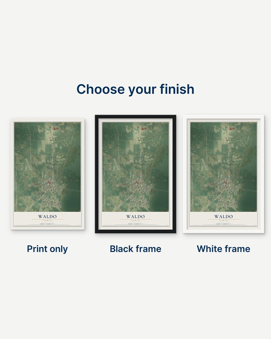 The Waldo, Florida map as a print only, in a black frame and in a white frame