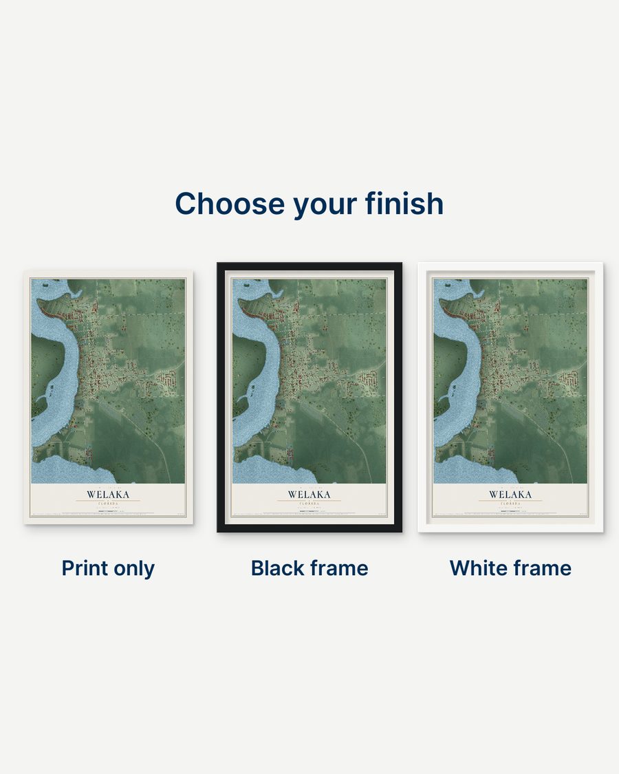 The Welaka, Florida map as a print only, in a black frame and in a white frame