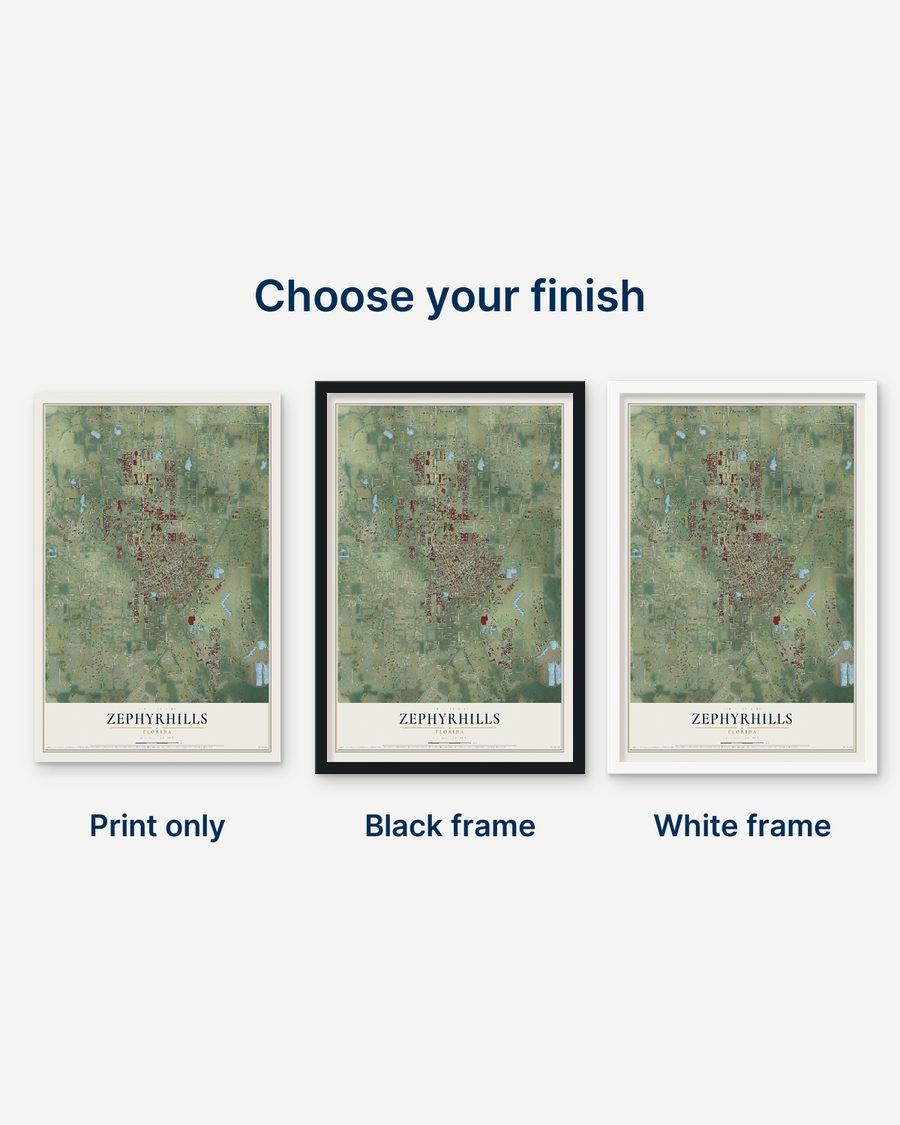 The Zephyrhills, Florida map as a print only, in a black frame and in a white frame