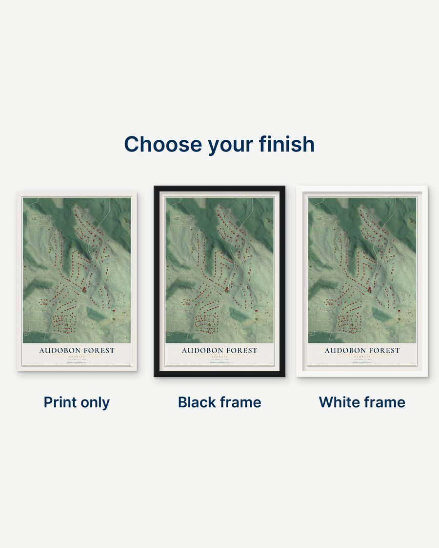 The Audobon Forest, Georgia map as a print only, in a black frame and in a white frame