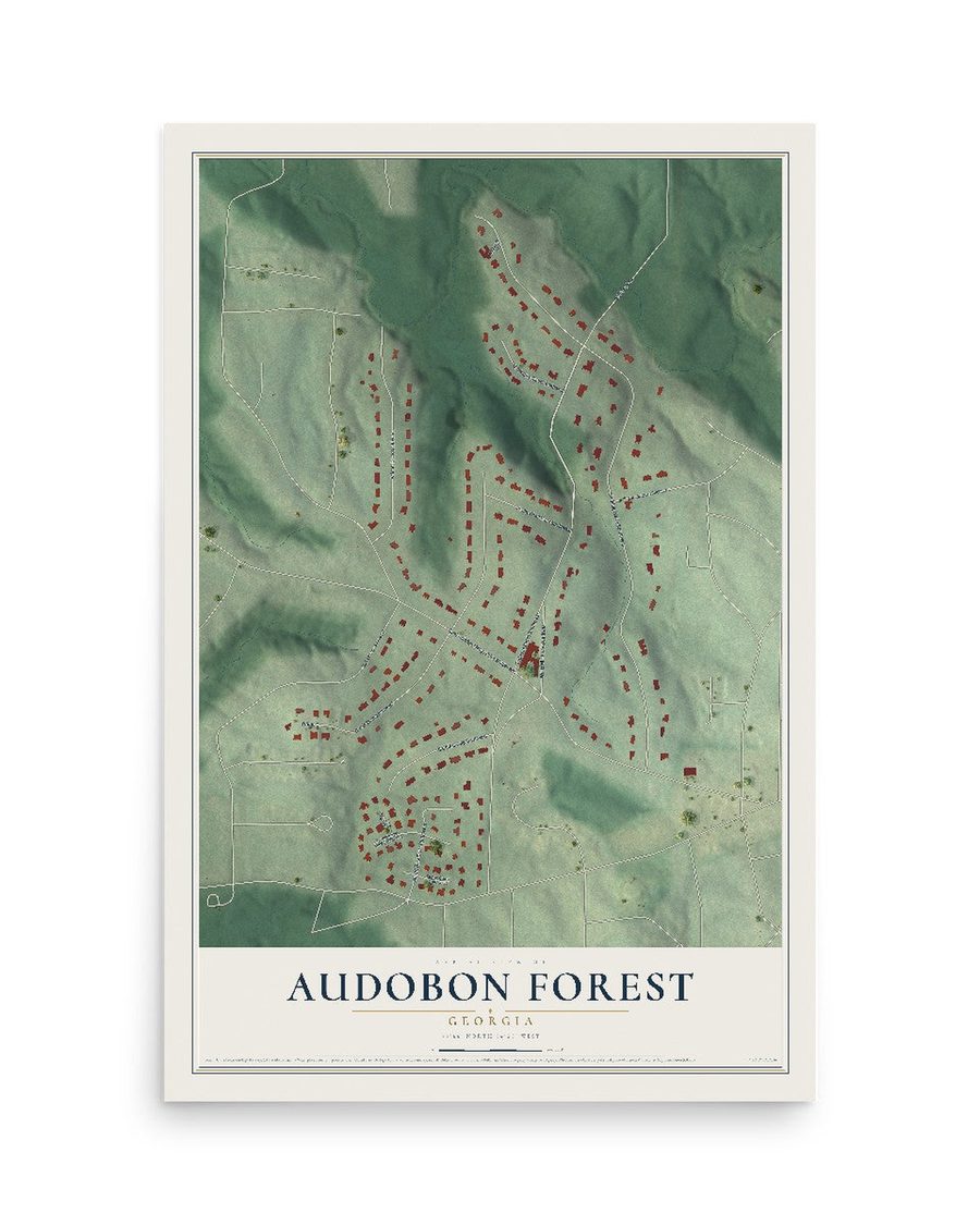 Audobon Forest, Georgia map print, 12 x 18 in, print only