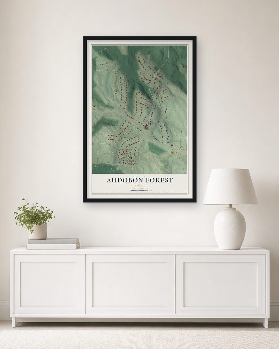 The Audobon Forest, Georgia map, 24 x 36 in, in a black wood frame on a living room wall
