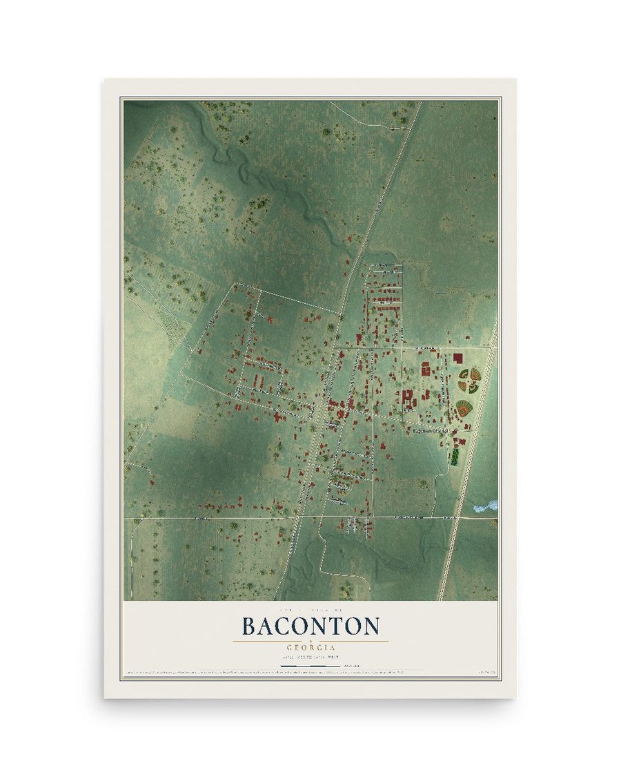 Baconton, Georgia map print, 12 x 18 in, print only