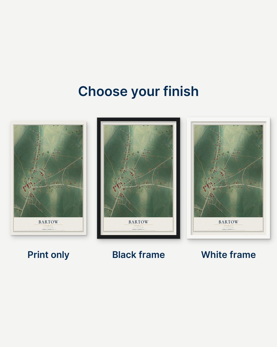 The Bartow, Georgia map as a print only, in a black frame and in a white frame