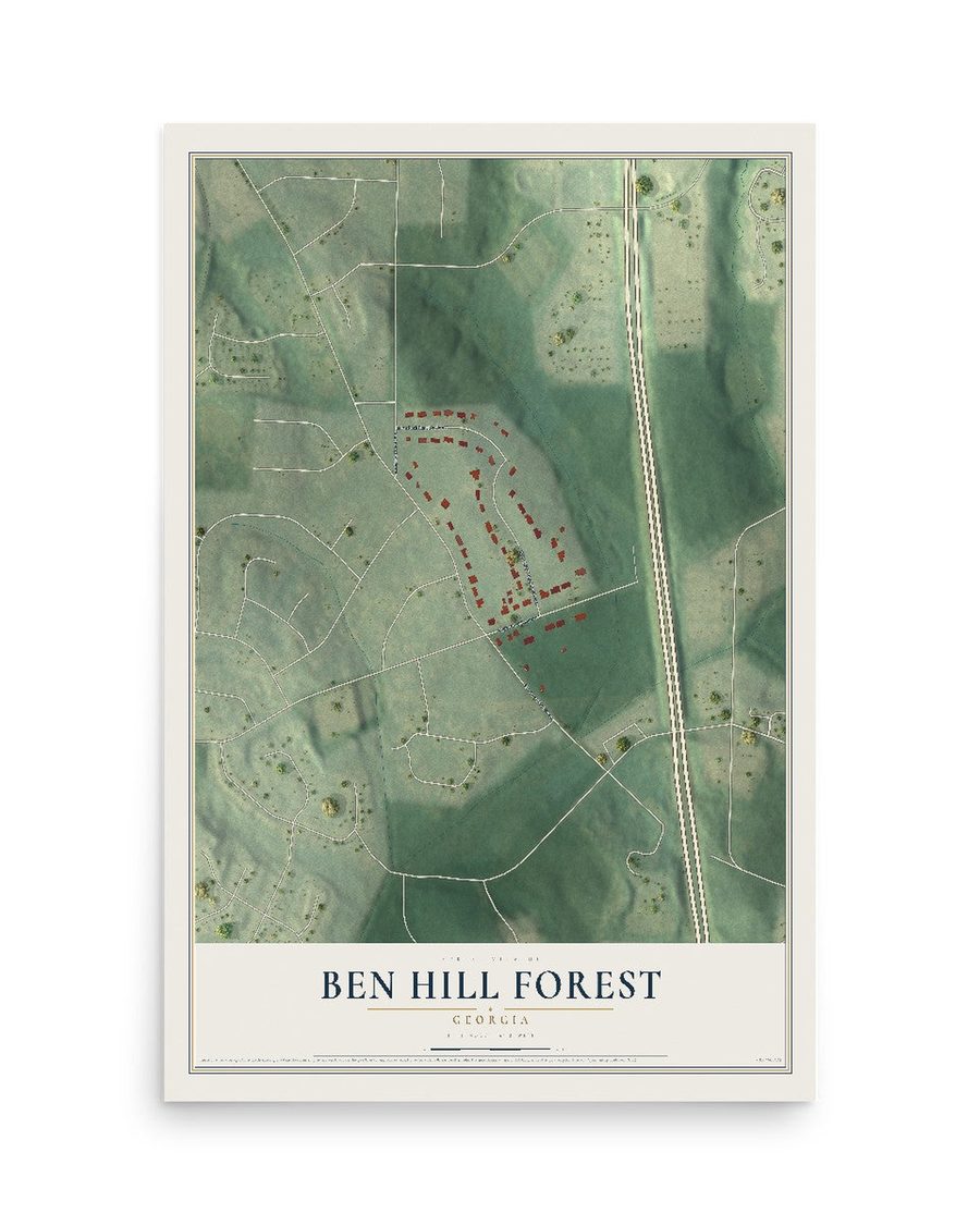 Ben Hill Forest, Georgia map print, 12 x 18 in, print only