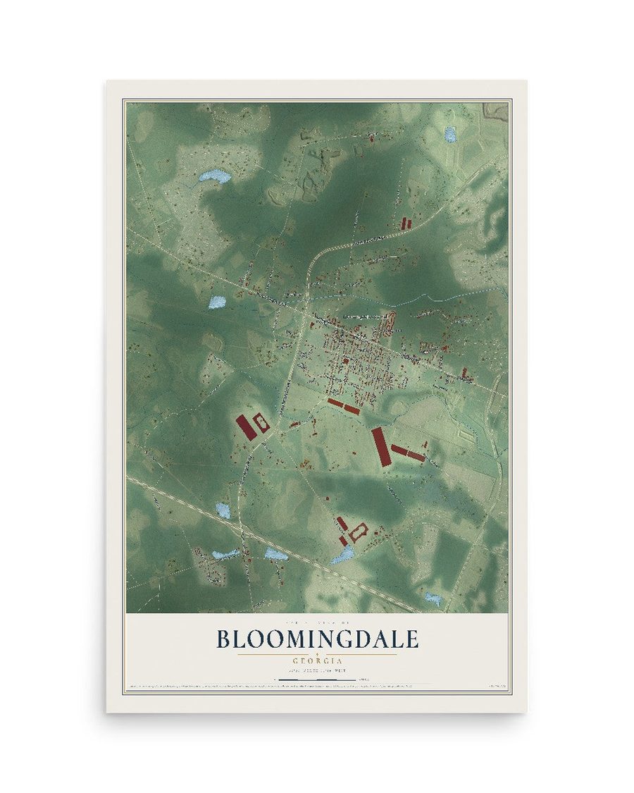 Bloomingdale, Georgia map print, 12 x 18 in, print only