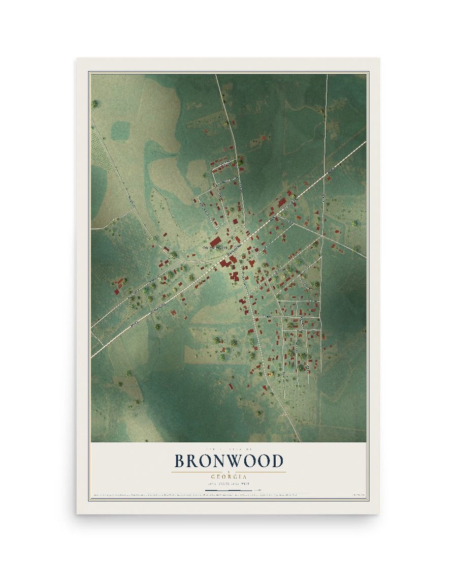 Bronwood, Georgia map print, 12 x 18 in, print only
