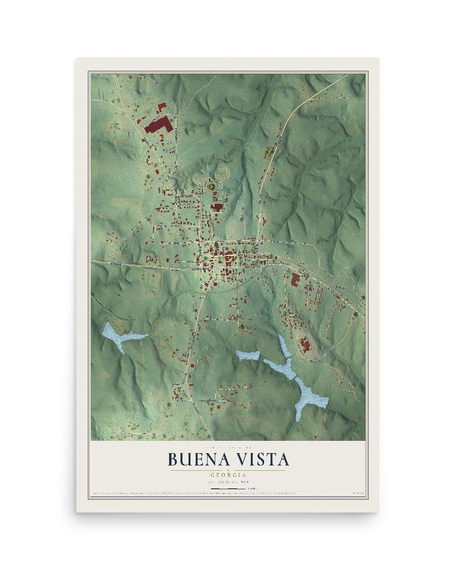Buena Vista, Georgia map print, 12 x 18 in, print only