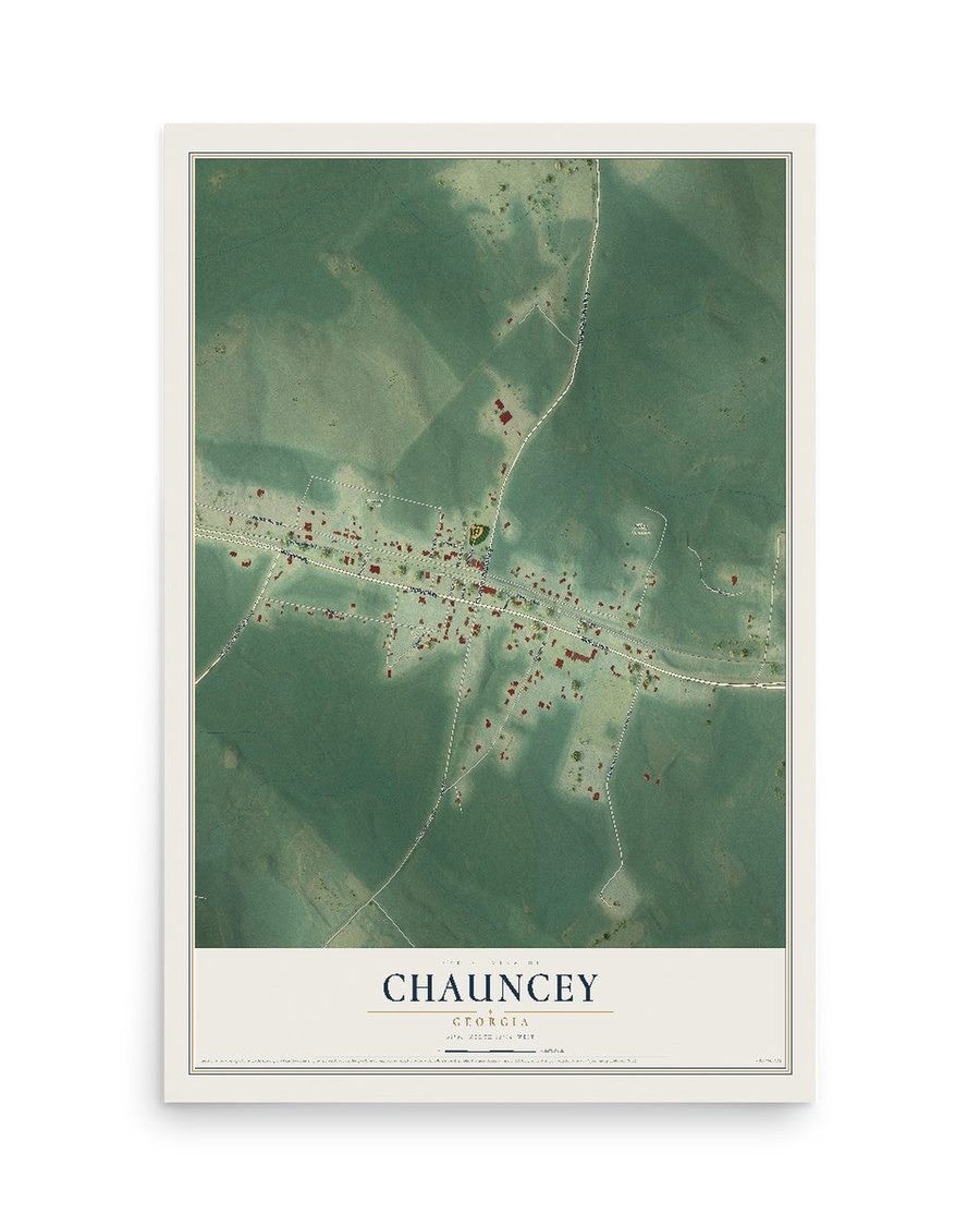 Chauncey, Georgia map print, 12 x 18 in, print only