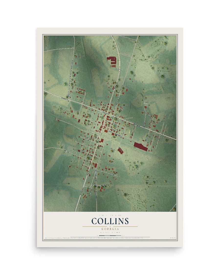 Collins, Georgia map print, 12 x 18 in, print only