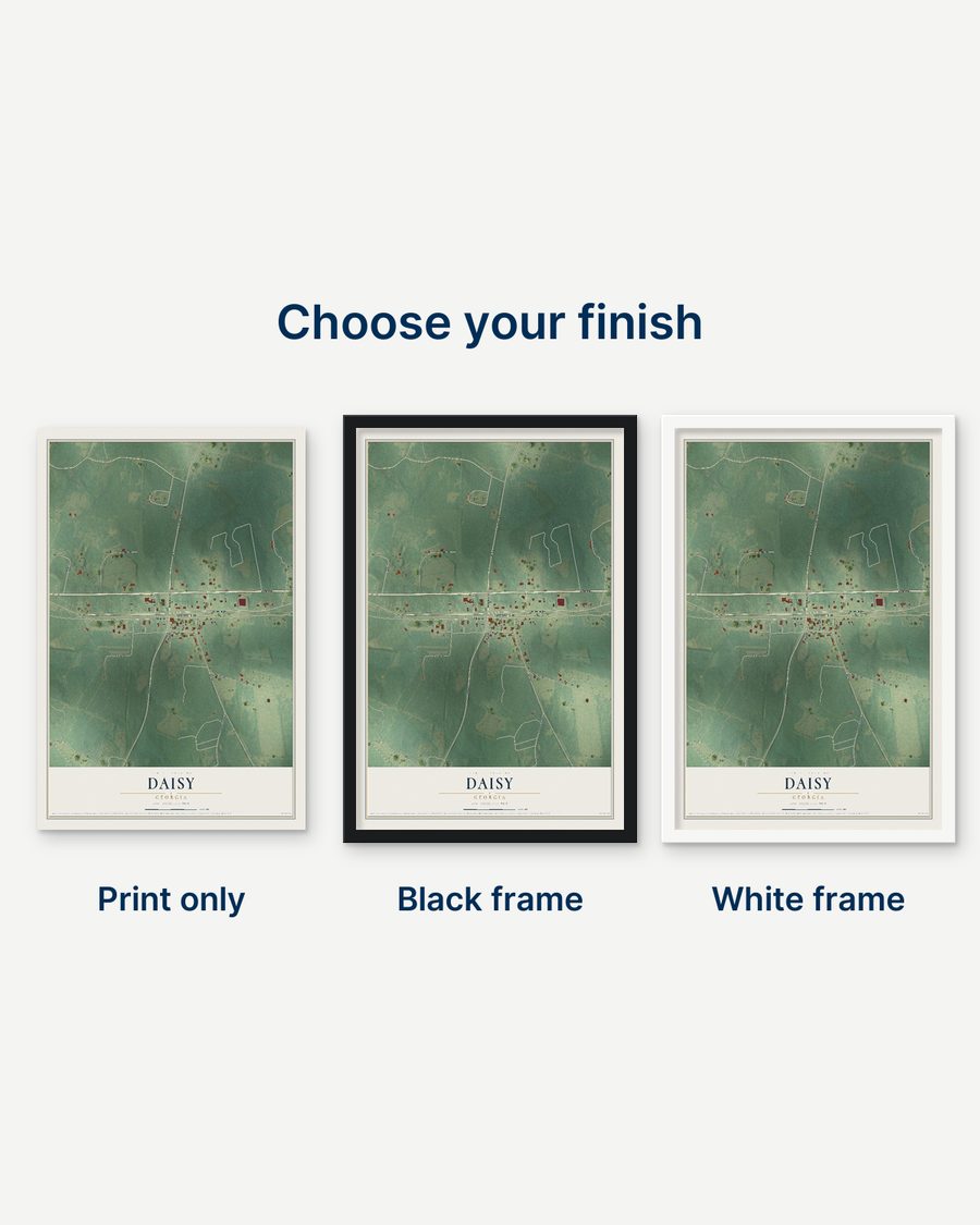 The Daisy, Georgia map as a print only, in a black frame and in a white frame