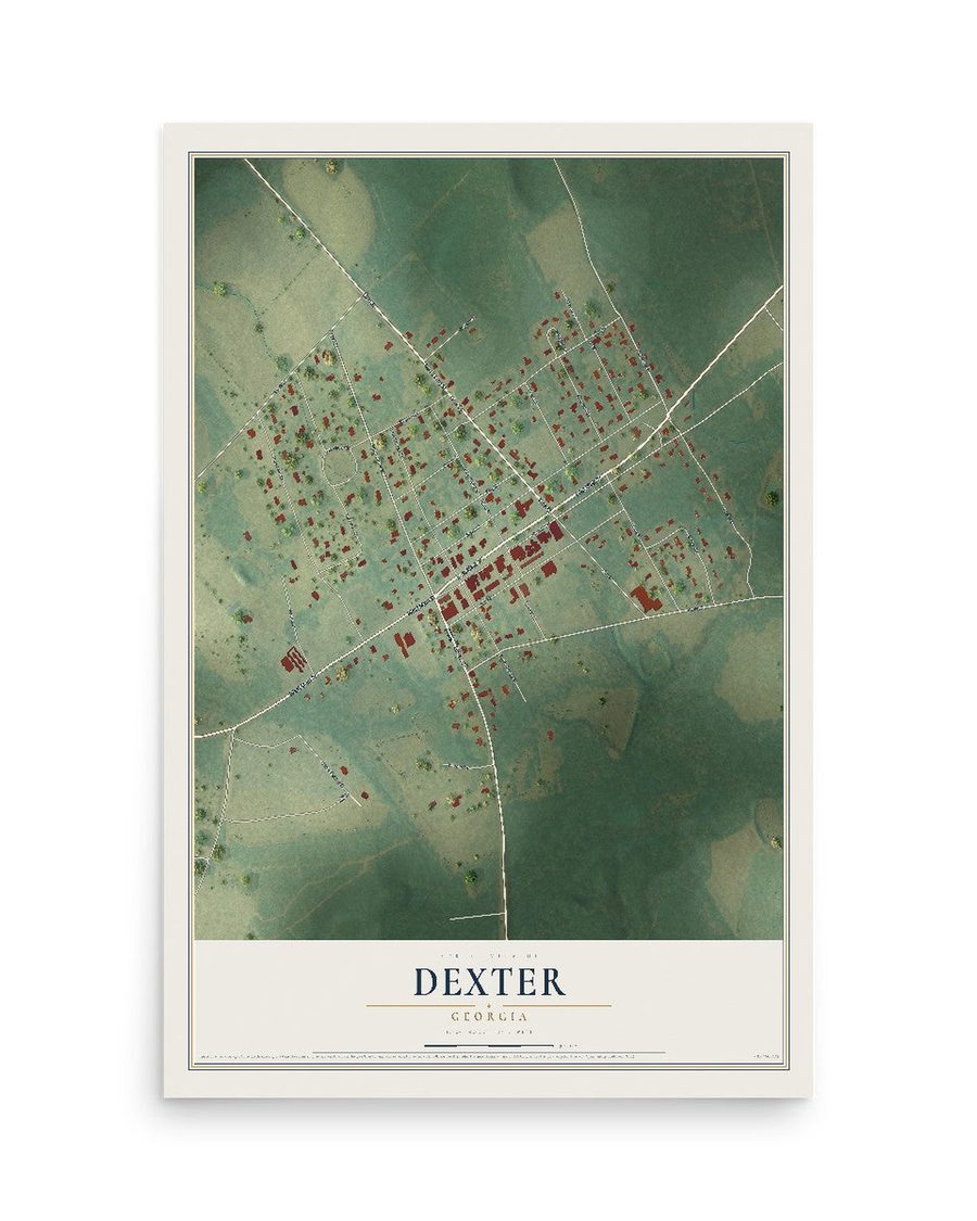 Dexter, Georgia map print, 12 x 18 in, print only