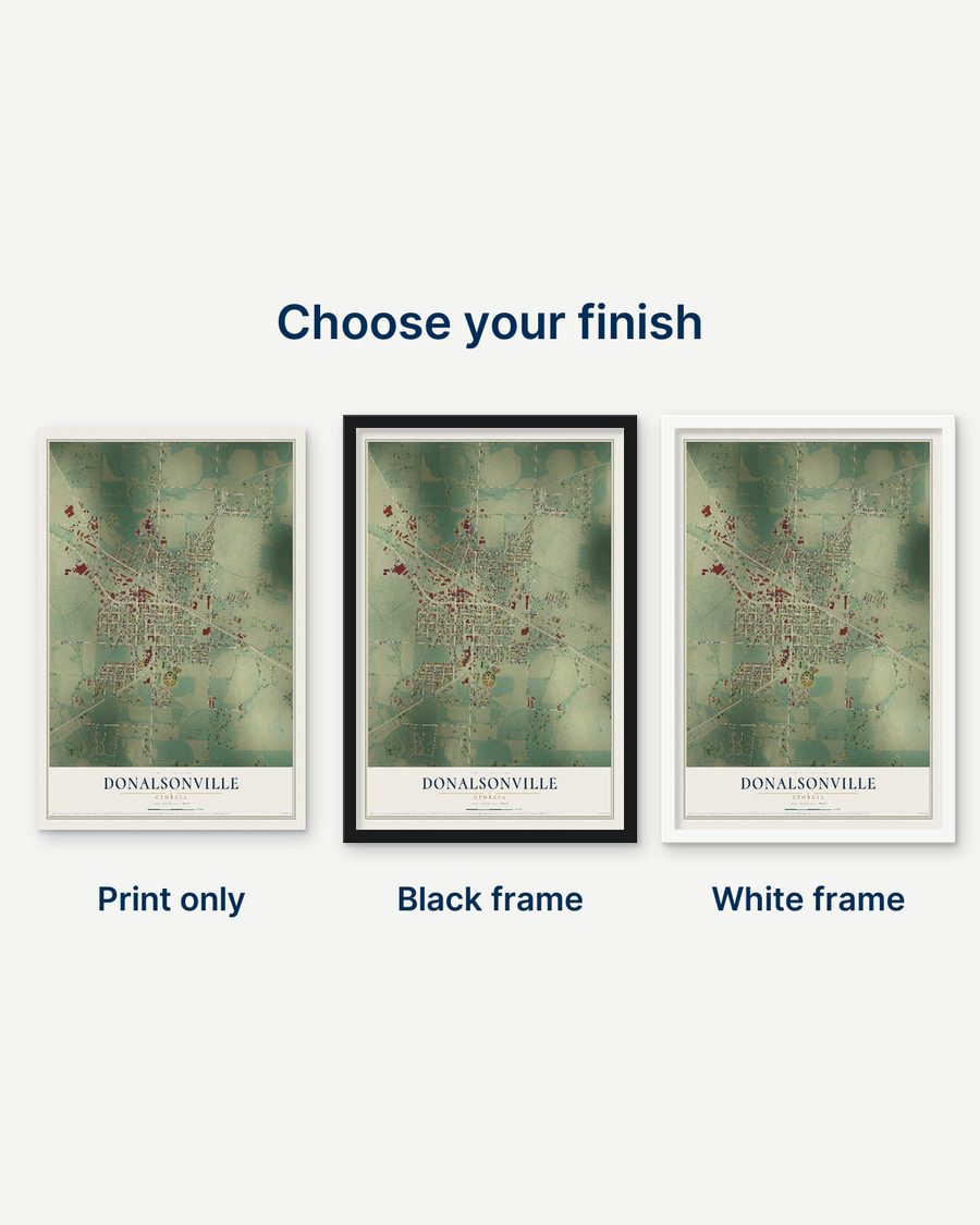 The Donalsonville, Georgia map as a print only, in a black frame and in a white frame