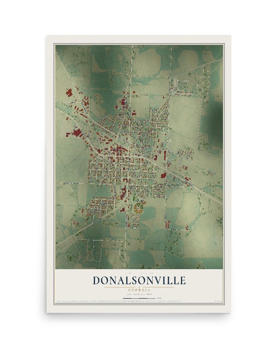 Donalsonville, Georgia map print, 12 x 18 in, print only