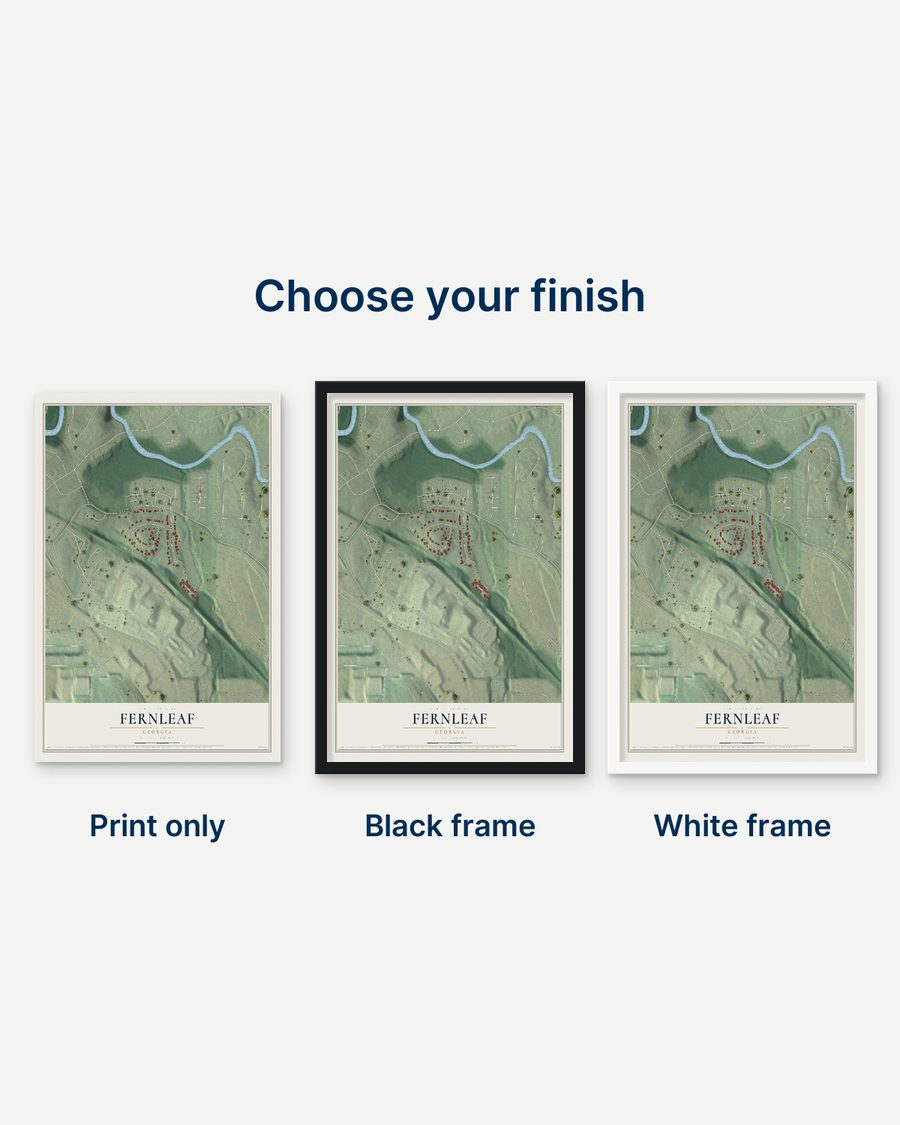 The Fernleaf, Georgia map as a print only, in a black frame and in a white frame