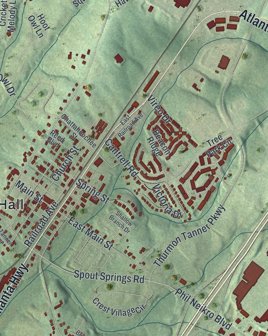 Close-up of Flowery Branch streets on the map