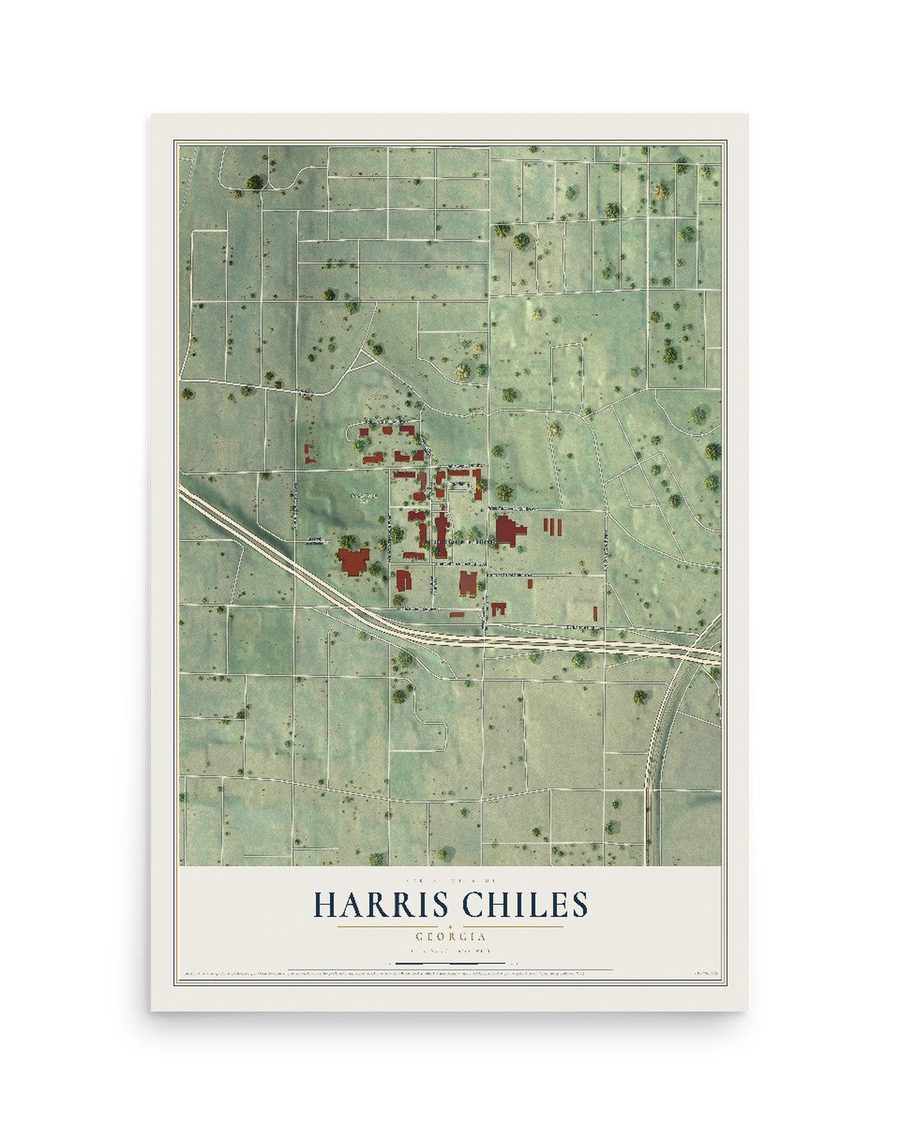 Harris Chiles, Georgia map print, 12 x 18 in, print only