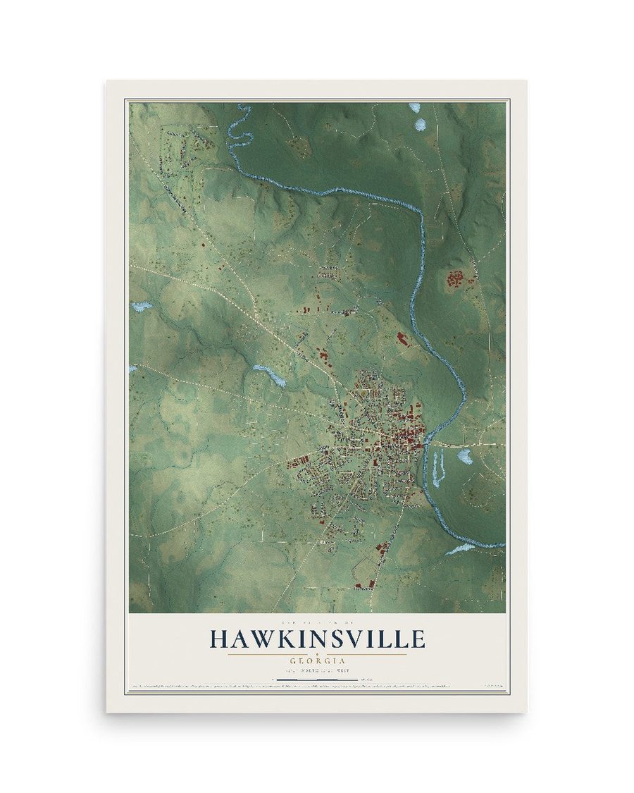Hawkinsville, Georgia map print, 12 x 18 in, print only