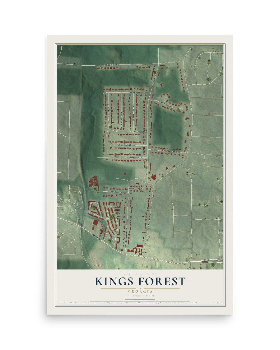 Kings Forest, Georgia map print, 12 x 18 in, print only