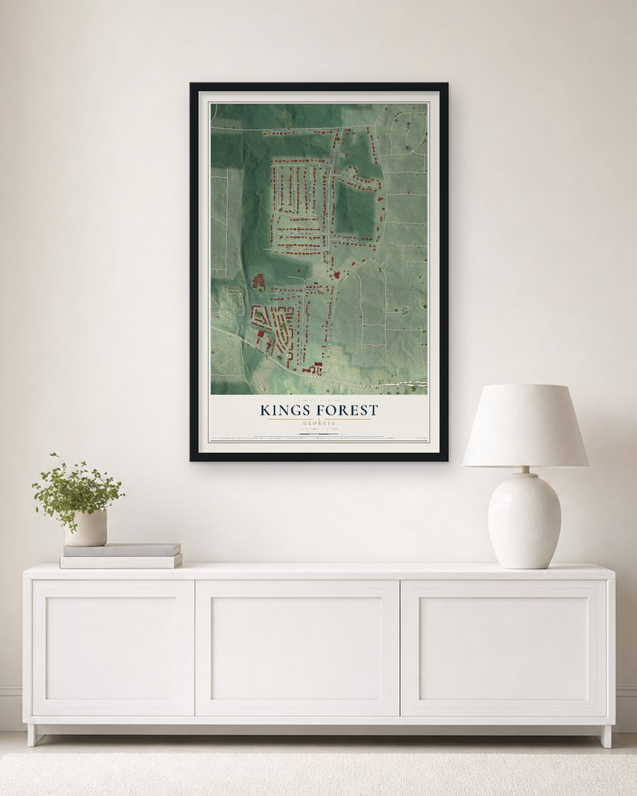 The Kings Forest, Georgia map, 24 x 36 in, in a black wood frame on a living room wall