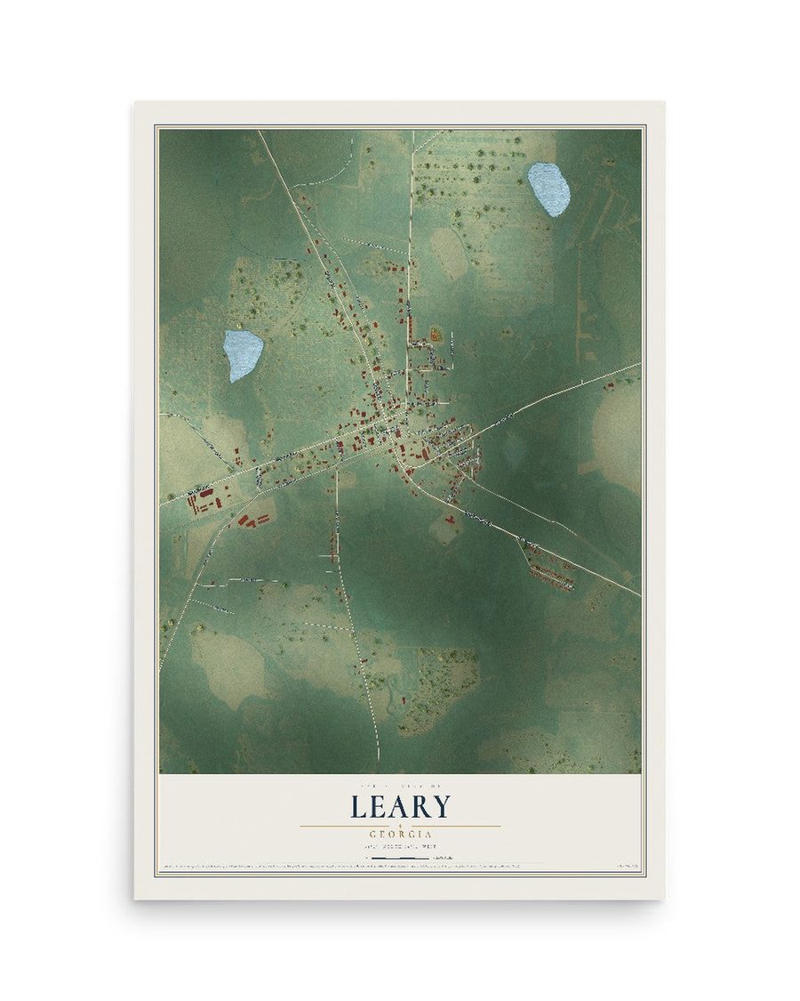 Leary, Georgia map print, 12 x 18 in, print only