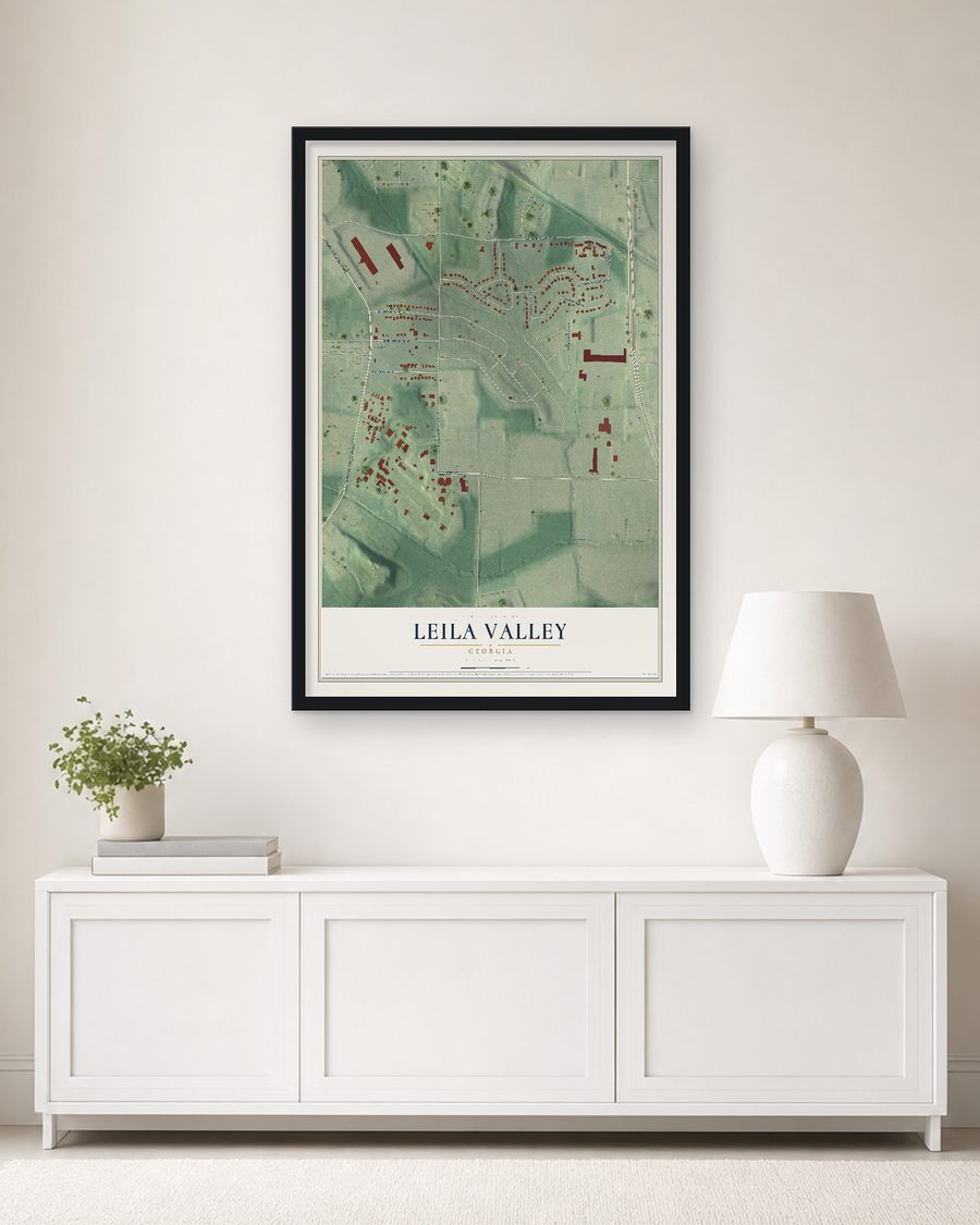The Leila Valley, Georgia map, 24 x 36 in, in a black wood frame on a living room wall
