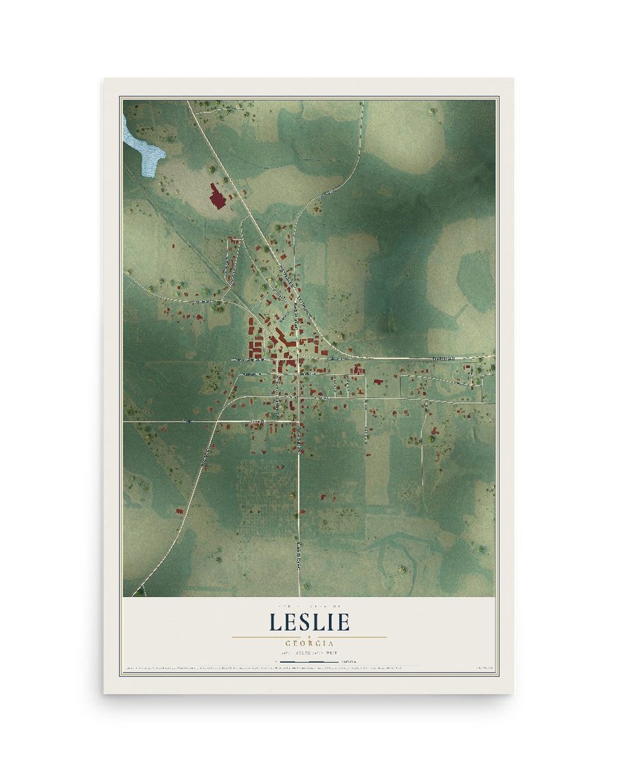 Leslie, Georgia map print, 12 x 18 in, print only