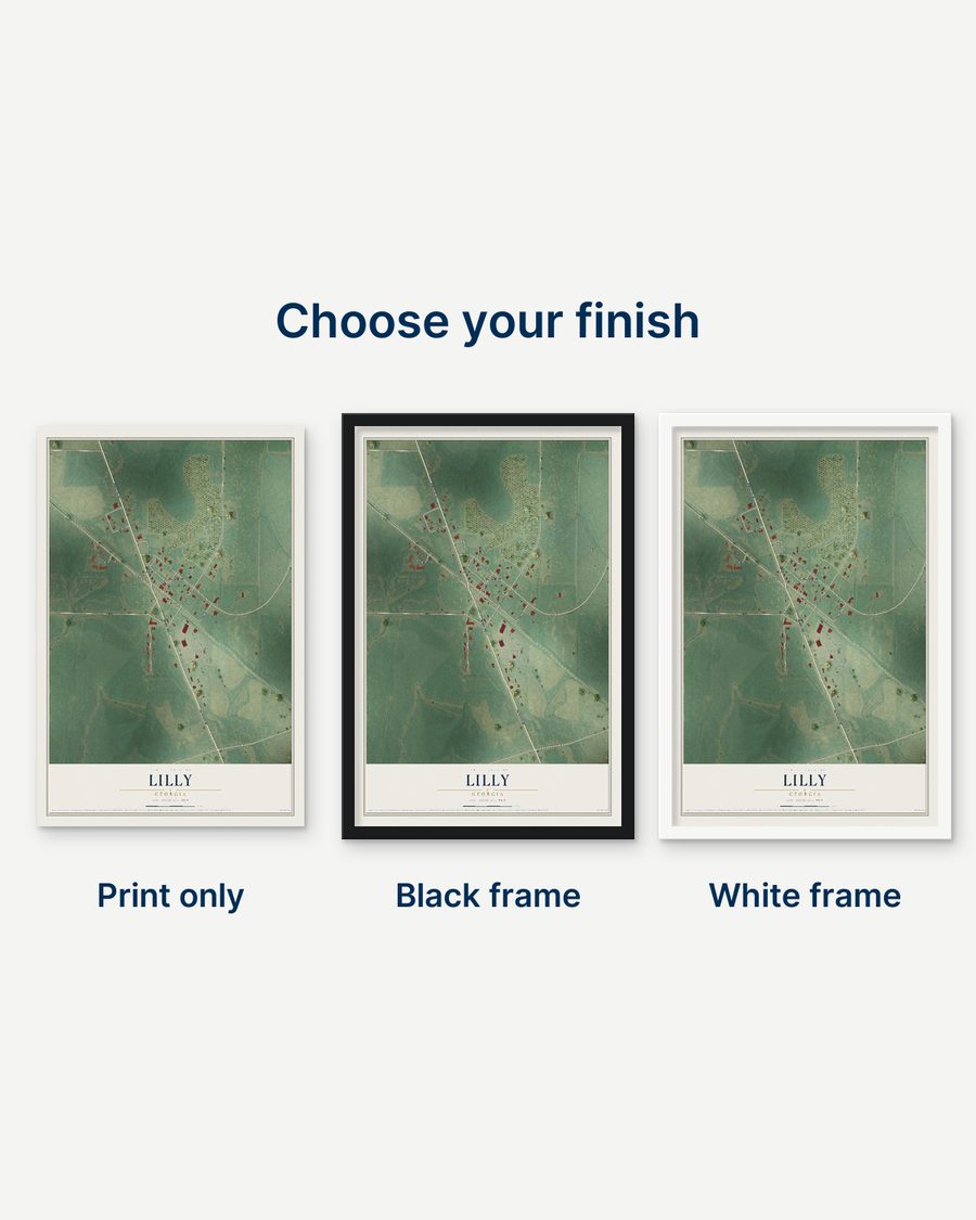 The Lilly, Georgia map as a print only, in a black frame and in a white frame