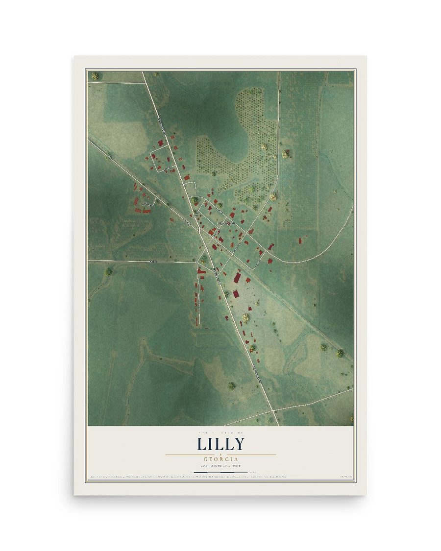Lilly, Georgia map print, 12 x 18 in, print only